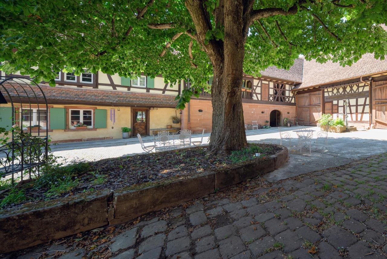 Bed and Breakfast Au Fil Du Temps Imbsheim Esterno foto