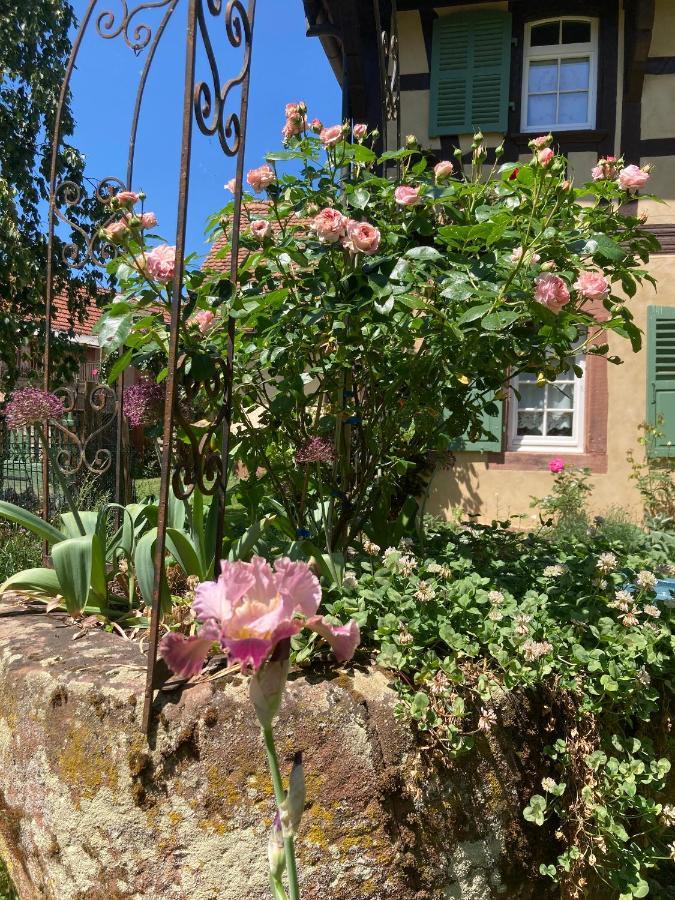 Bed and Breakfast Au Fil Du Temps Imbsheim Esterno foto