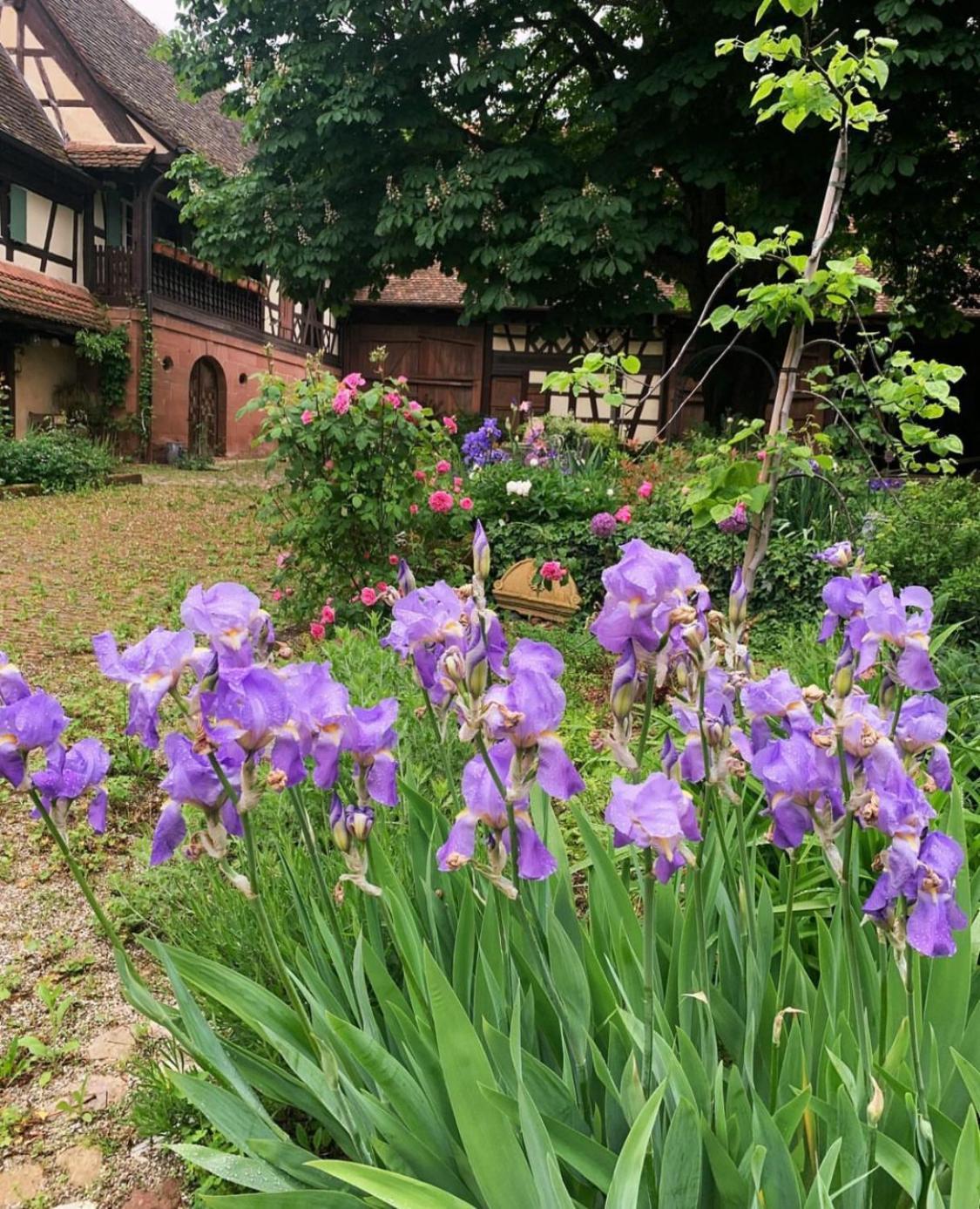 Bed and Breakfast Au Fil Du Temps Imbsheim Esterno foto